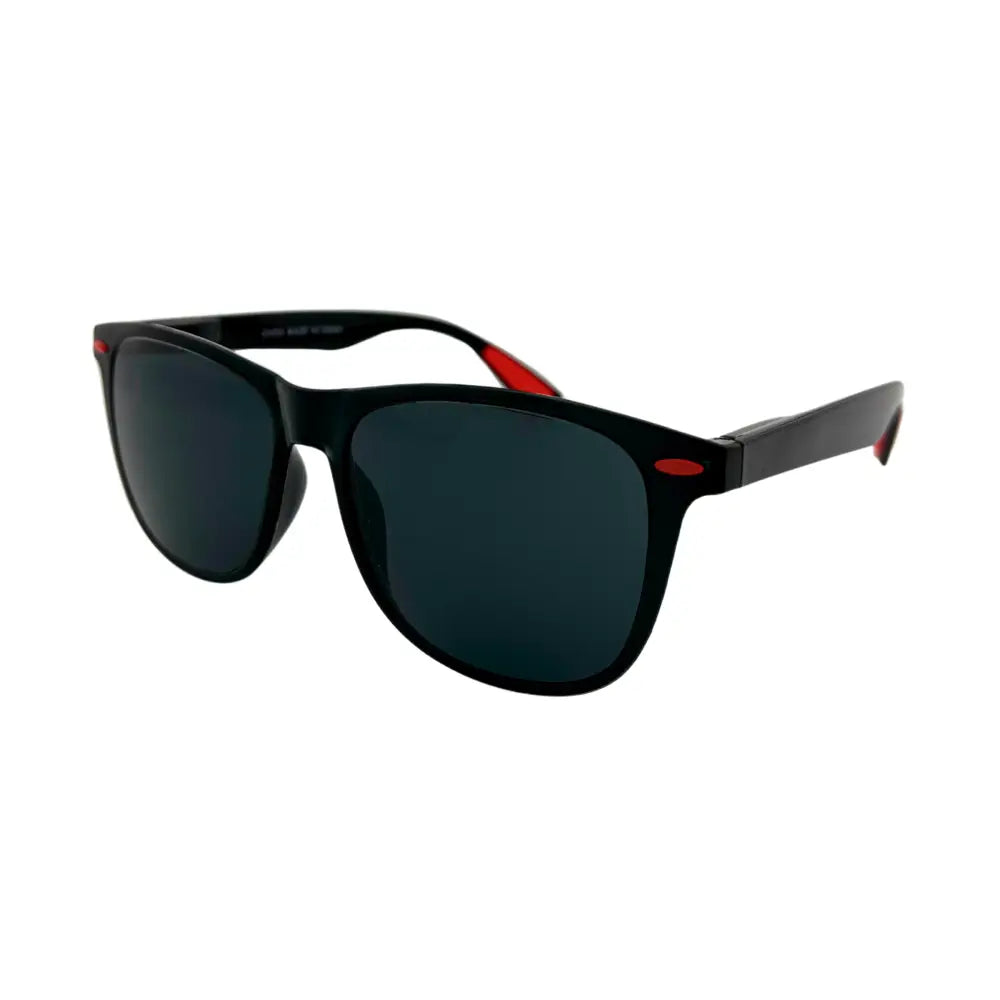 Black-framed sunglasses ch255 set of 12 with dark gray lenses and red accent details on the temples