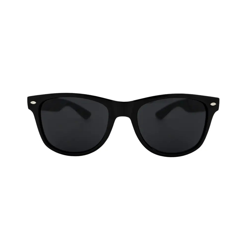 Assorted Wayfarer sunglasses with shiny black, demi brown, and green lenses