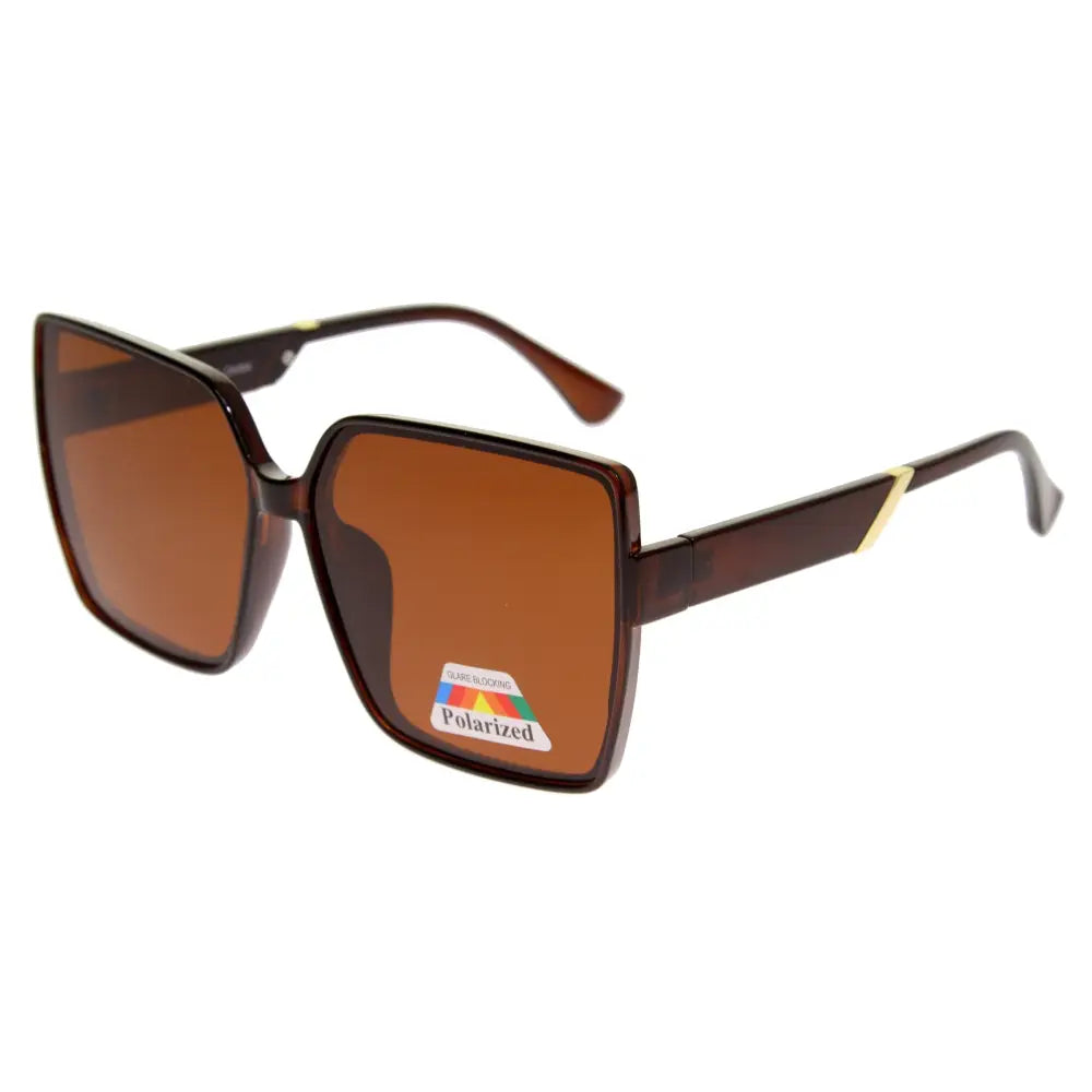 Brown square-framed sunglasses with tortoiseshell acetate temples and gold-tone accents set of 12